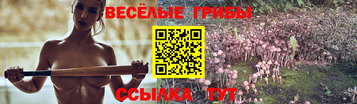 Псилоцибиновые грибы ЛСД  Вход с VPN  закладка  Новокубанск 